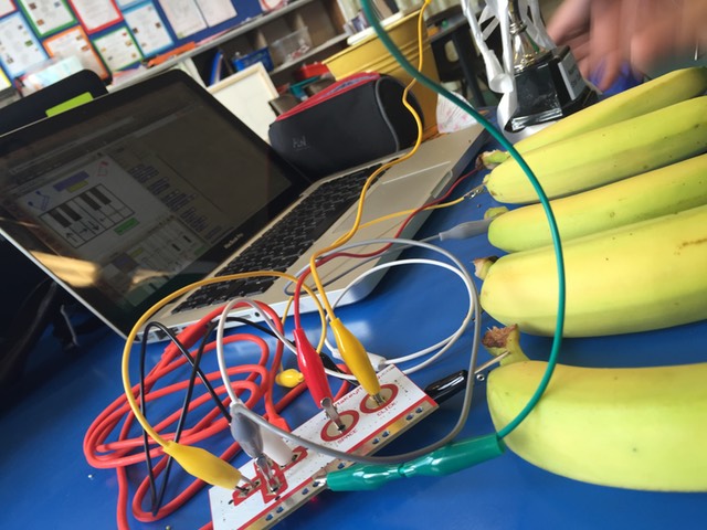 A Makey Makey kit being attached to a bunch of bananas